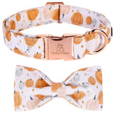 Collar Lionheart Glory con lazo para perros, perfecto para fiestas y paseos