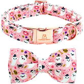 Lionheart Glory collar-lazo Halloween para perro mediano, ideal para fiestas.