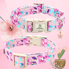 Lionheart glory collar para sesiones de fotos de perro, realza la apariencia en eventos.