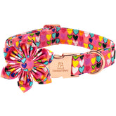 Collar Lionheart Glory con estampado flor zanahoria para paseos de primavera.