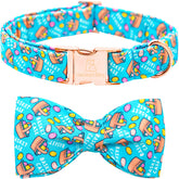 Collar Lionheart Glory con lazo colorido para cachorros, ideal para paseos.