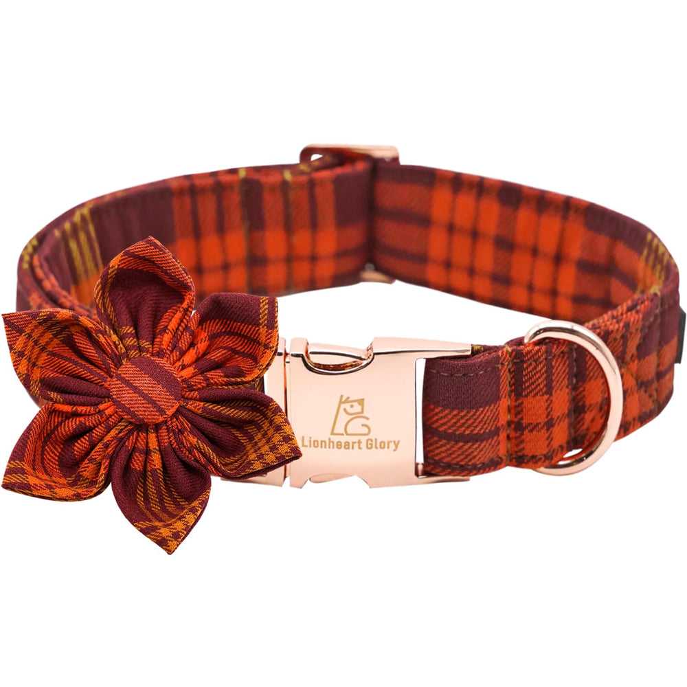 Collar Lionheart glory con flor caída removible, decorativo y cómodo.