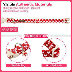 Lionheart Glory collar perro diseño único para resaltar la personalidad de tu mascota.