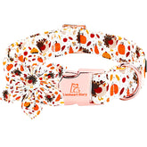 Collar Lionheart Glory con flor removible para estilo otoñal del perro.