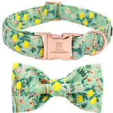 Collar Lionheart Glory floral ajustable para paseos cómodos y con estilo