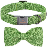 Lionheart Glory collar perro lazo verde, ideal para fiestas y sesiones de fotos.