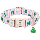 Collar Lionheart Glory para perro mediano con trébol rosa, ideal para uso diario.