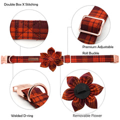 Collar Lionheart glory con diseño plaid Halloween para paseos elegantes.