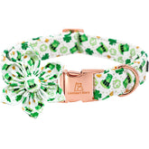 Collar Lionheart Glory San Patricio verde con flor, ideal para paseos.