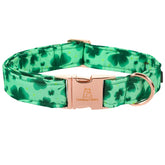 Lionheart Glory collar San Patricio verde para perros grandes, cómodo y seguro.