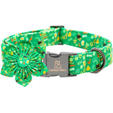 Collar Lionheart glory para perro verde con flor, ideal para San Patricio
