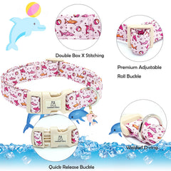 Lionheart Glory collar rosa ajustable para perros medianos durante caminatas