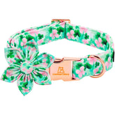 Collar Lionheart glory para san patricio con flor, ideal para eventos