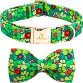 Collar Lionheart Glory con lazo trébol para perro pequeño, festivo.