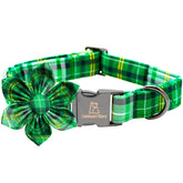 Collar Lionheart Glory Día de San Patricio con flor verde a cuadros, ideal para paseos festivos.