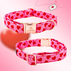 Collar Lionheart Glory con lazo hecho a mano para ocasiones especiales.