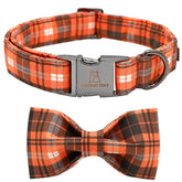 Collar Lionheart Glory con lazo navideño y ajuste cómodo para perros pequeños.