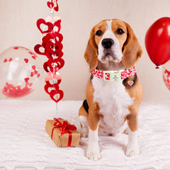 Collar Lionheart Glory Valentine con hebilla plástica duradera para uso diario