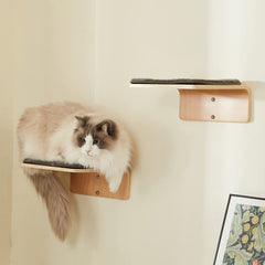 LIORCE dos escalones de pared para gatos, fomentan juego y escalada