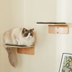 LIORCE escaleras para gatos en pared, dos peldaños fuertes para trepar y jugar