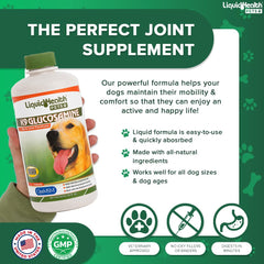 LIQUIDHEALTH K9 glucosamina: textura líquida fácil de mezclar con comida.
