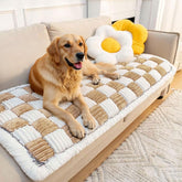 LiveGo funda para sofá de perros lavable facilita la limpieza tras juegos y travesuras.