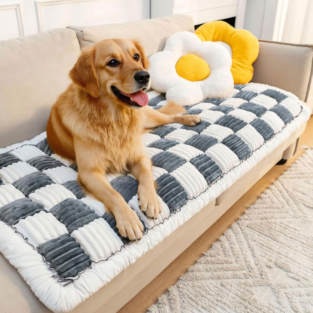 LiveGo funda sofá para perros lavable, protección fácil y limpieza rápida.
