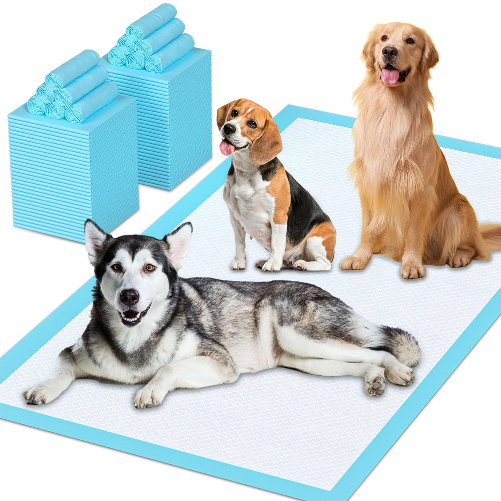 Tapetes de entrenamiento LIYINGSER XXL 31x47 para perros, ideal para entrenamiento en casa.