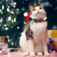 LLHK collar gato ajustable 18-30 cm para comodidad diaria