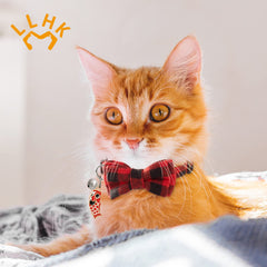 Collar LLHK para gato, cierre desmontable, ofrece libertad si queda atrapado.