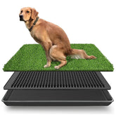 LOMANTOWN hierba para perros con bandeja, uso interior y exterior práctico.