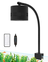 Lominie luz LED para acuario de 10 galones, enfoque frontal con brillo uniforme y realce de colores.