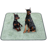 LOOBANI almohadilla de entrenamiento para perros 72x72, ideal para adiestramiento.