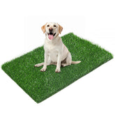 LOOBANI cesped artificial 33,2x21 pulgadas para entrenamiento de cachorros