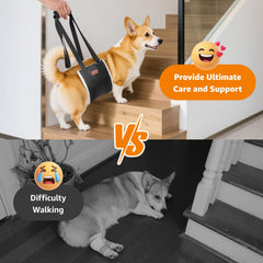 LOOBANI Sling para Perro Subir Escaleras: ayuda a levantarse con seguridad.