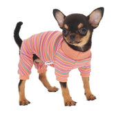 Pijama LOPHIPETS para chihuahua teacup en rosa, ideal para abrigar diariamente.