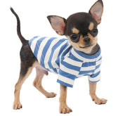 LOPHIPETS camiseta rayas azul blanco, vista frontal, transpirable para perros pequeños