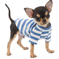 LOPHIPETS camiseta rayas azul blanco, vista frontal, transpirable para perros pequeños
