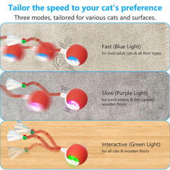 Bola LORDTEC emite sonido de pájaro para atraer curiosidad felina.