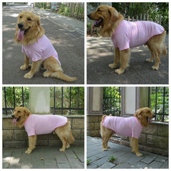 Detalle de cuello redondo suave de la camiseta Lovelonglong para perros.