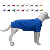 Lovelonglong camiseta para teckel frente azul, suave y cómoda para paseos