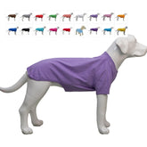 Camiseta Lovelonglong para perro violeta XS vista frontal suave y cómoda