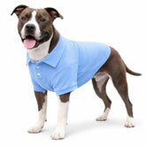 Polo básico Lovelonglong para perros con cuello de dos botones en azul cielo, paseo cómodo.