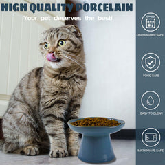 LOVINFURBABY altura de 3.9 pulgadas mejora la postura durante la comida.