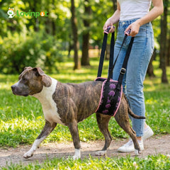 Cierre de velcro silencioso y diseño abierto del arnés LovinPet