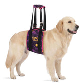 LovinPet arnés elevador ajustable para perros, vista frontal, ayuda a levantar con seguridad.