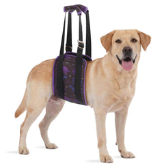 LovinPet arnés de levantamiento para perros, dorso de tres capas para soporte cómodo.