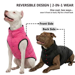 LovinPet chaqueta reversible para perro, dorso, versátil para días fríos