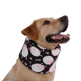 LovinPet collar de recuperación, vista frontal, ajuste cómodo para perros.