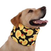 LovinPet collar de recuperación con ajuste cómodo para perros medianos y grandes.